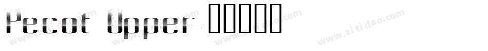 Pecot Upper字体转换